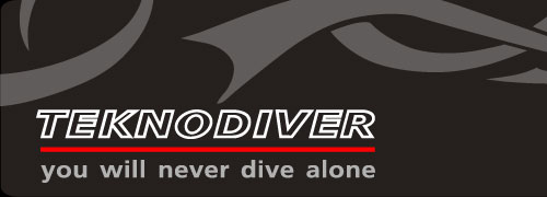logo Teknodiver