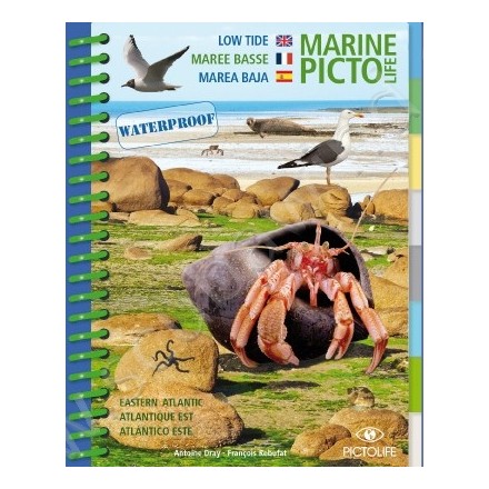 Guide D'identification Pictolife Marée Basse - Atlantique Est