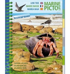 Guide D'identification Pictolife Marée Basse - Atlantique Est