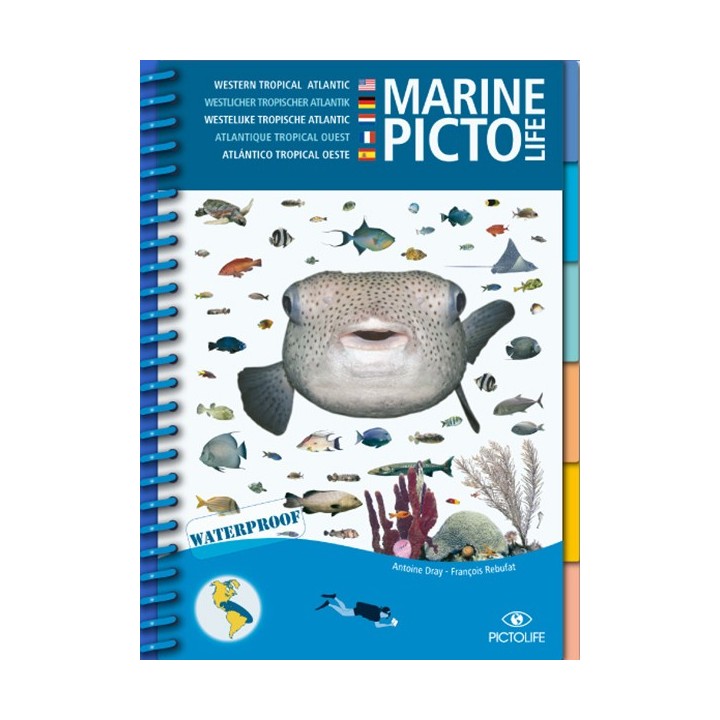 Guide d'identification Pictolife Atlantique Tropical