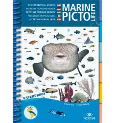 Guide d'identification Pictolife Atlantique Tropical