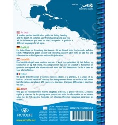 Guide d'identification Pictolife Atlantique Tropical