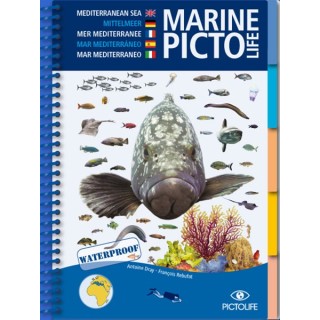 Guide d'identification Pictolife Méditerranée