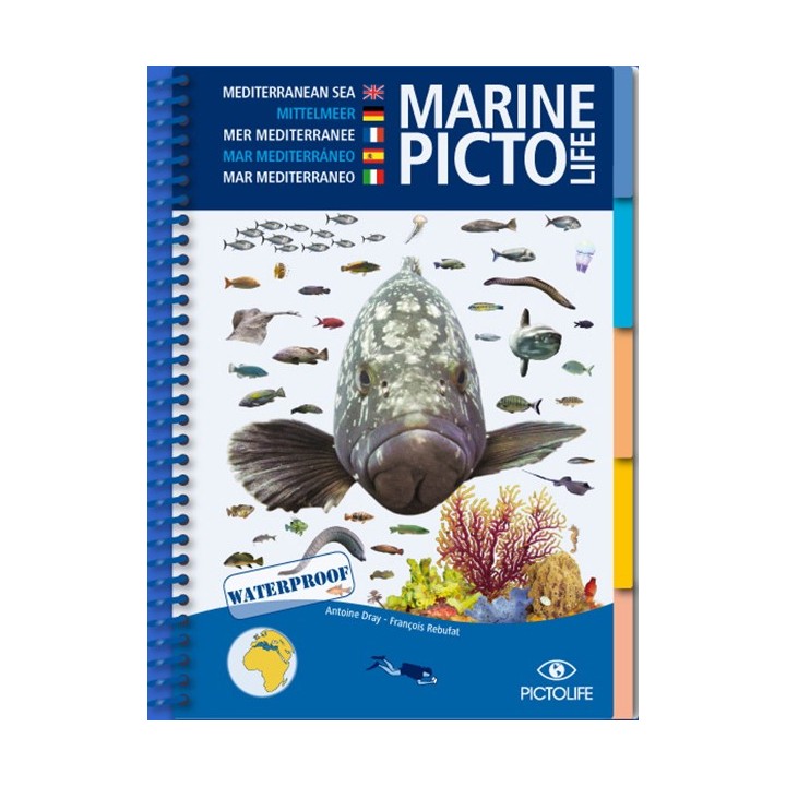 Guide d'identification Pictolife Méditerranée