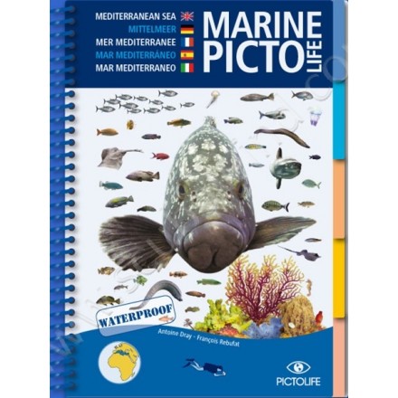 Guide d'identification Pictolife Méditerranée