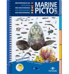 Guide d'identification Pictolife Méditerranée