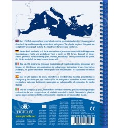 Guide d'identification Pictolife Méditerranée
