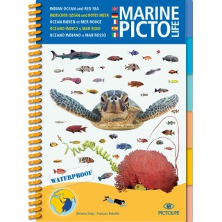 Guide d'identification Pictolife Mer Rouge - Ocean Indien
