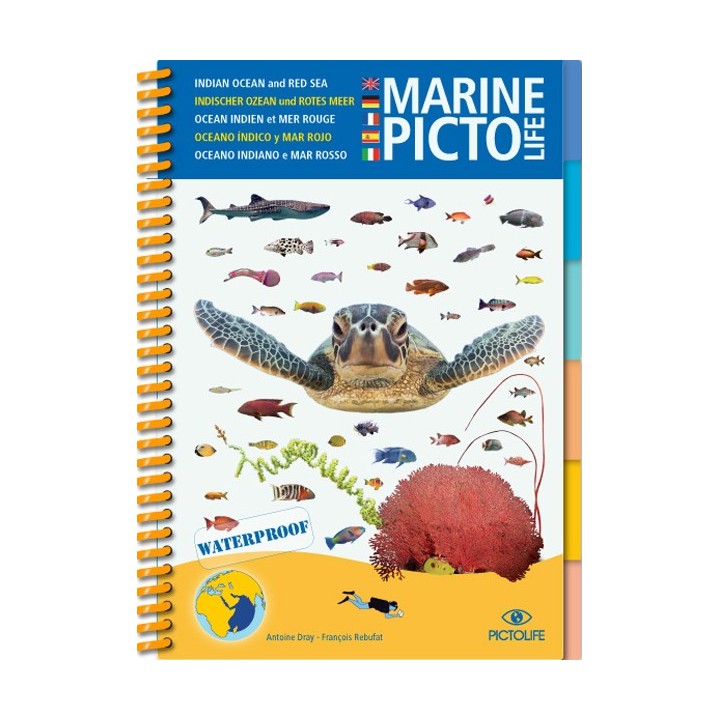 Guide d'identification Pictolife Mer Rouge - Ocean Indien
