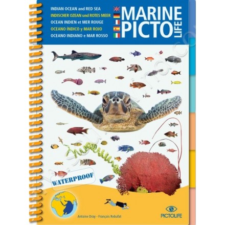 Guide d'identification Pictolife Mer Rouge - Ocean Indien