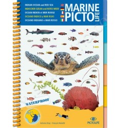 Guide d'identification Pictolife Mer Rouge - Ocean Indien