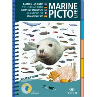 Guide d'identification Pictolife Atlantique Est