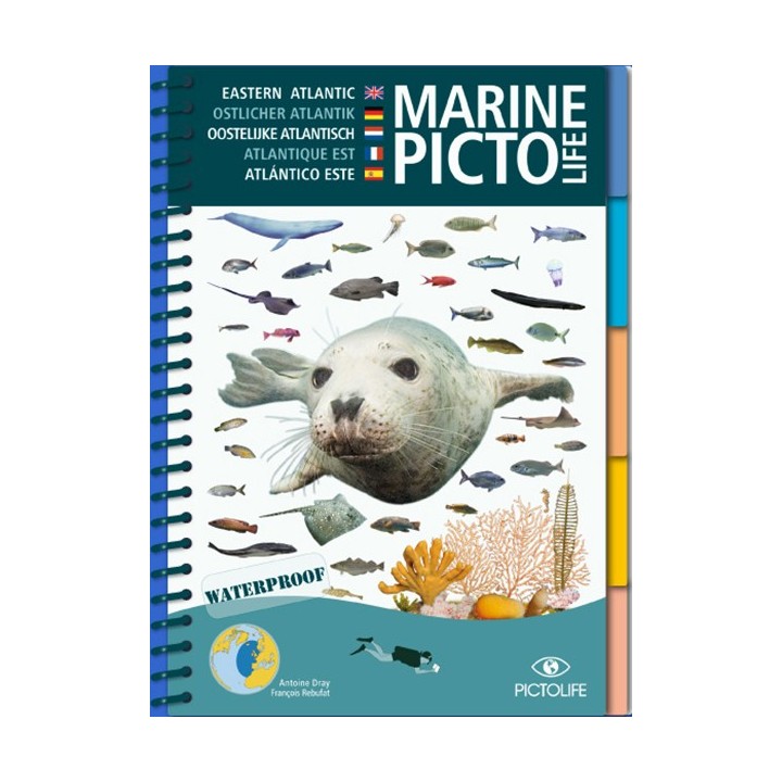 Guide d'identification Pictolife Atlantique Est