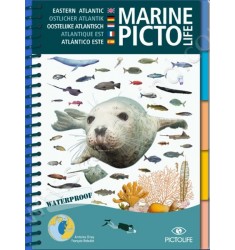 Guide d'identification Pictolife Atlantique Est