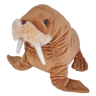 Peluche Morse 20cm
