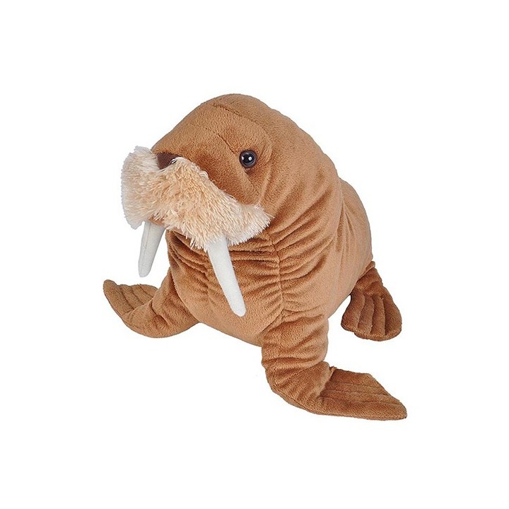 Peluche Morse 20cm Peluche Morse 20cm