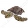 Peluche Tortue