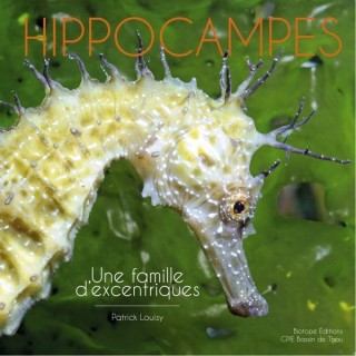 Hippocampes : une famile d'excentriques