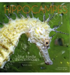 Hippocampes : une famile d'excentriques