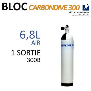 Bloc Carbon de 6,8L Air - 300B - 1 sortie