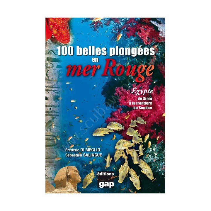 100 belles plongées en mer Rouge Editions Gap - Librairie 100 belles plongées en mer Rouge Editions Gap - Librairie