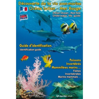 Dépliant Découverte de la vie sous-marine Mer Rouge Turtle Prod - Librairie