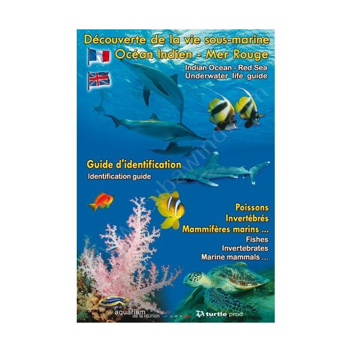 Dépliant Découverte de la vie sous-marine Mer Rouge Turtle Prod - Librairie
