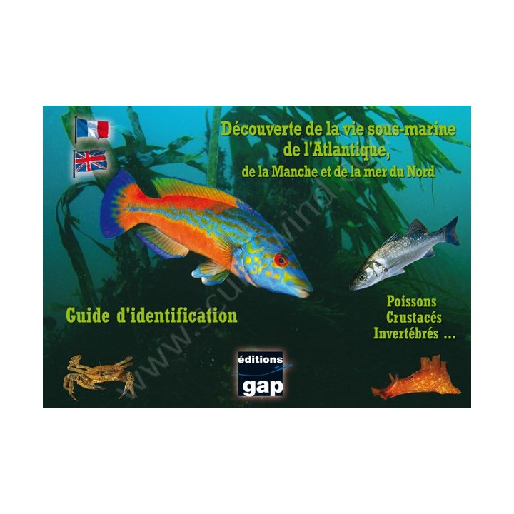 Plaquettes immergeables Découverte de la vie sous-marine de l'Atlantique Editions Gap - Librairie Plaquettes immergeables Découverte de la vie sous-marine de l'Atlantique Editions Gap - Librairie