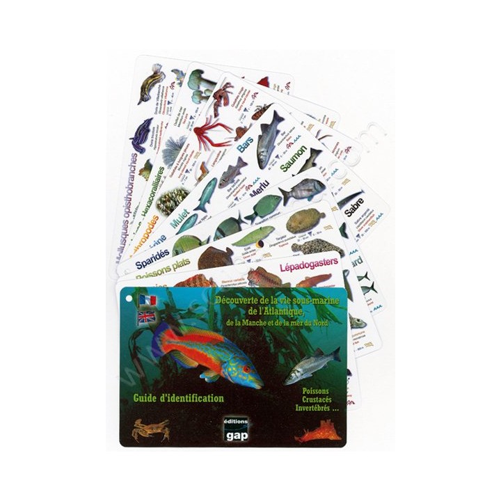 Plaquettes immergeables Découverte de la vie sous-marine de l'Atlantique Editions Gap - Librairie Plaquettes immergeables Découverte de la vie sous-marine de l'Atlantique Editions Gap - Librairie