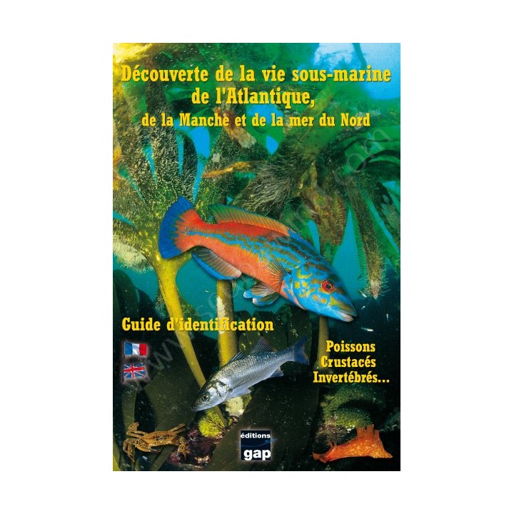 Dépliant Découverte de la vie sous-marine Atlantique Editions Gap - Librairie