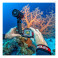 Camera ReefMaster SL350- RM-4K 