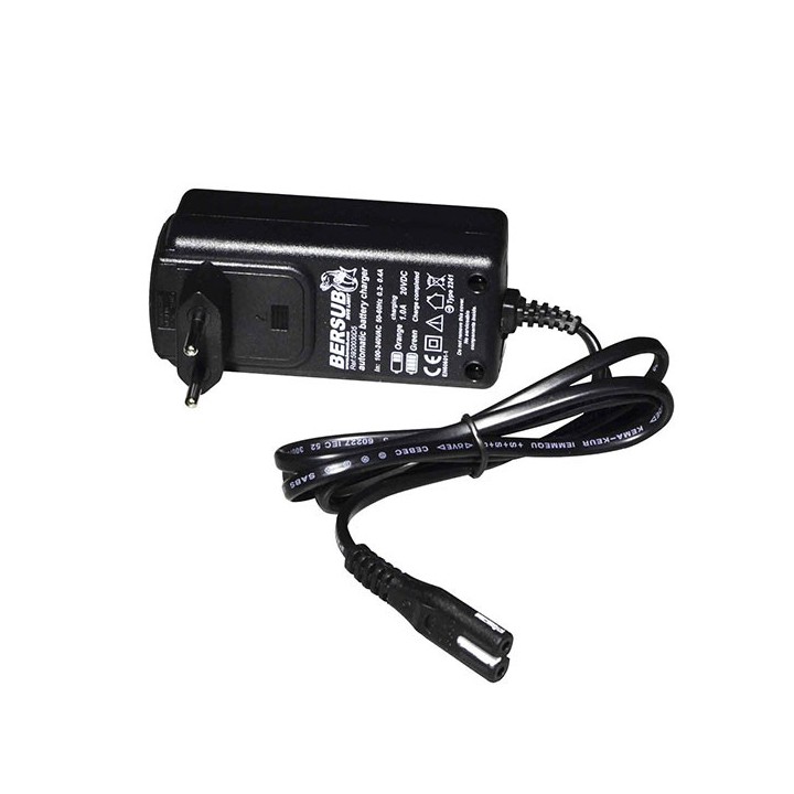 Chargeur rapide automatique Chargeur rapide automatique