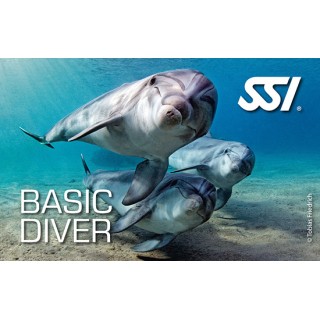 Kit numérique Basic Diver - SSI