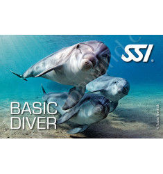 Kit numérique Basic Diver - SSI