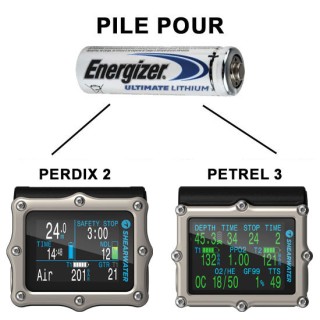 Pile pour ordinateur Perdix 2 et Petrel 3