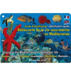 Plaquettes immergeables : Espèces en Méditerranée