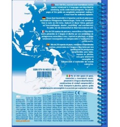 Guide d'identification Pictolife Pacifique Asiatique