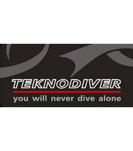 Teknodiver