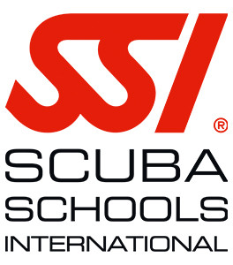 SSI